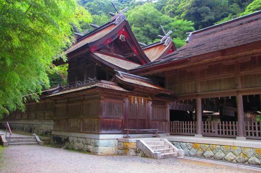 島根県-美保神社-本殿 島根県-美保神社-本殿の写真