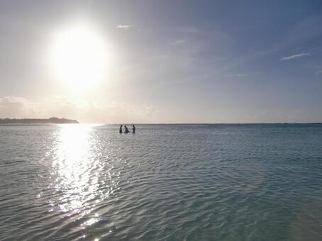 海光 海光の写真