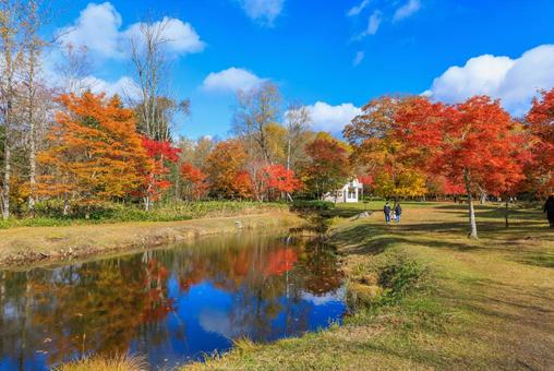 北海道の紅葉 紅葉,秋,池の写真素材