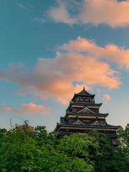 広島城 広島城 広島城,城,広島の写真素材