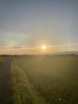 sunset, JPG