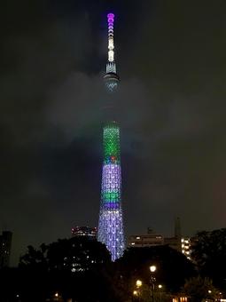 ライトアップが綺麗なスカイツリー スカイツリー,タワー,ライトアップの写真素材