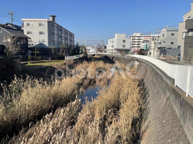 平戸永谷川　風景 平戸永谷川,風景,上外郷橋の写真素材