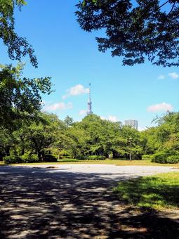 初秋の猿江恩賜公園&スカイツリー・江東区 初秋の猿江恩賜公園&スカイツリー・江東区の写真