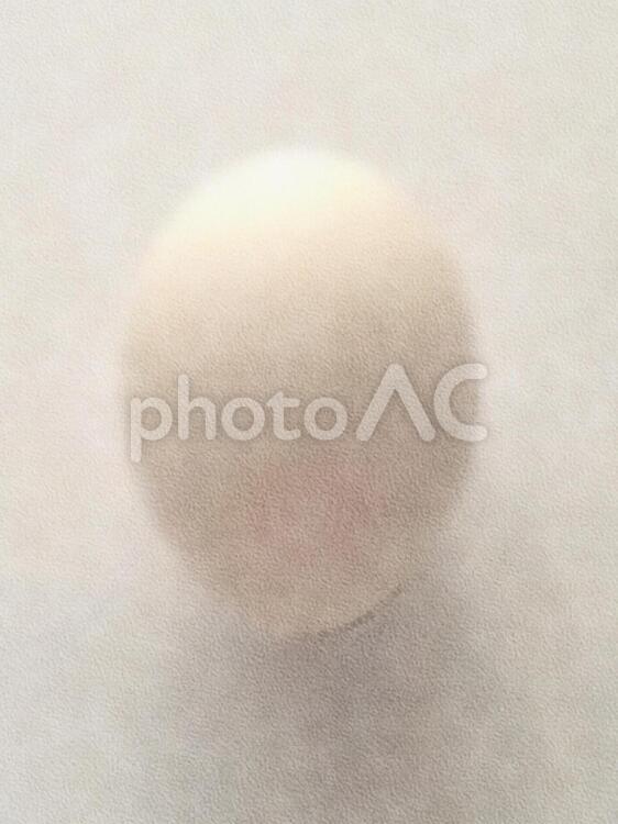 卵、完成されたカタチのオブジェ たまご,乳白色,優しさの写真素材