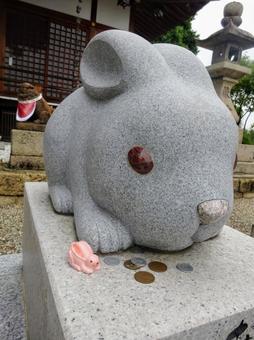 若宮住吉神社のうさぎ 若宮住吉神社のうさぎ 若宮住吉神社,住吉神社,若宮住吉神社のうさぎの写真素材