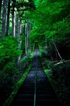 山梨県石割神社の手すり付き登り階段。 山梨県石割神社の手すり付き登り階段。 自然,ハイキング,景色の写真素材
