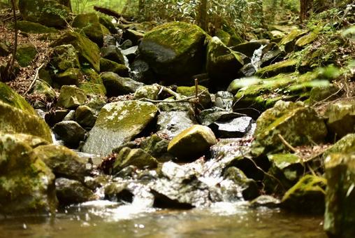 自然風景 川,自然,グリーンの写真素材