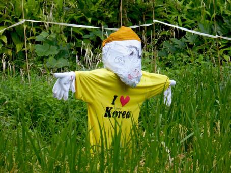 表情・衣装と個性的な田んぼのカカシ カカシ,人形,手作りの写真素材