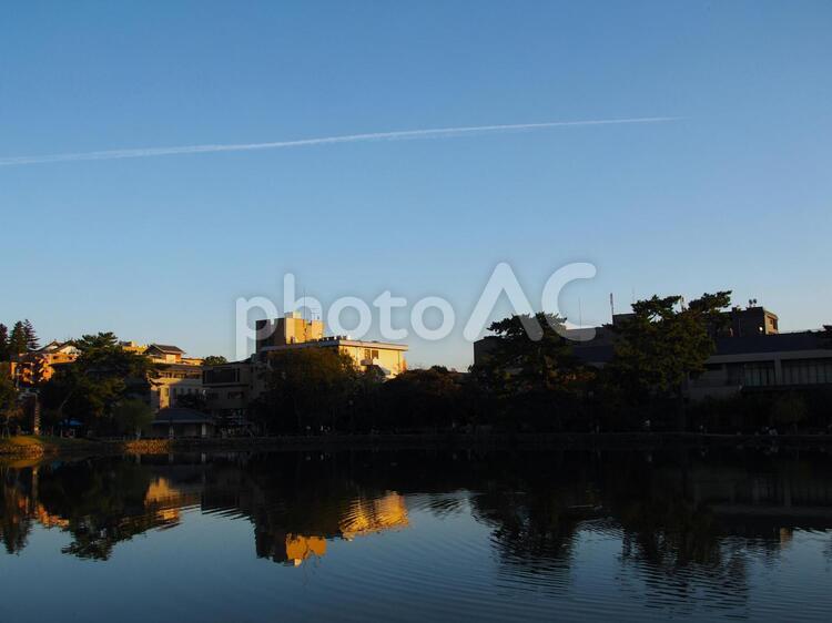 夕景の猿沢池 猿沢池,奈良,池の写真素材