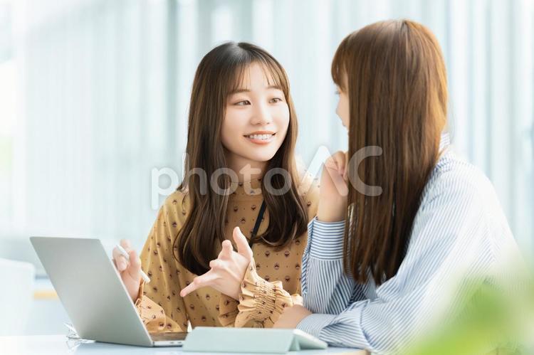 ミーティングをする2人のビジネスウーマン 女性,ビジネス,ミーティングの写真素材