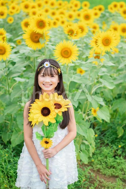 ひまわり畑と笑顔の女の子 ひまわり,笑顔,女の子の写真素材