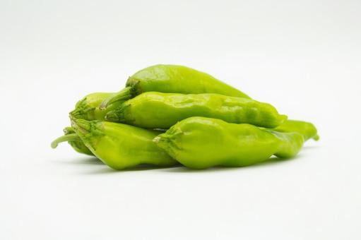 ししとう3 ししとう3 ししとう,トウガラシ,野菜の写真素材