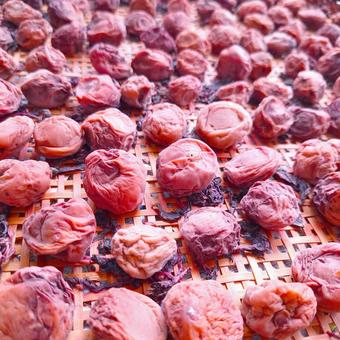 Making Umeboshi②, JPG
