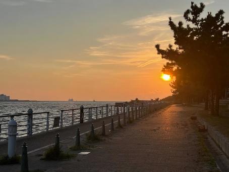 夕日の海と遊歩道 夕日の海と遊歩道 夕日,夕焼け,夕空の写真素材