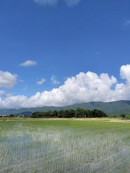 旧豊田移民村 田園風景 旧豊田移民村 田園風景の写真