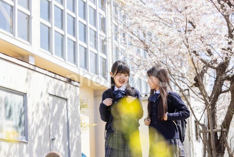 春の校舎と女子学生 女子学生,学生,制服の写真素材