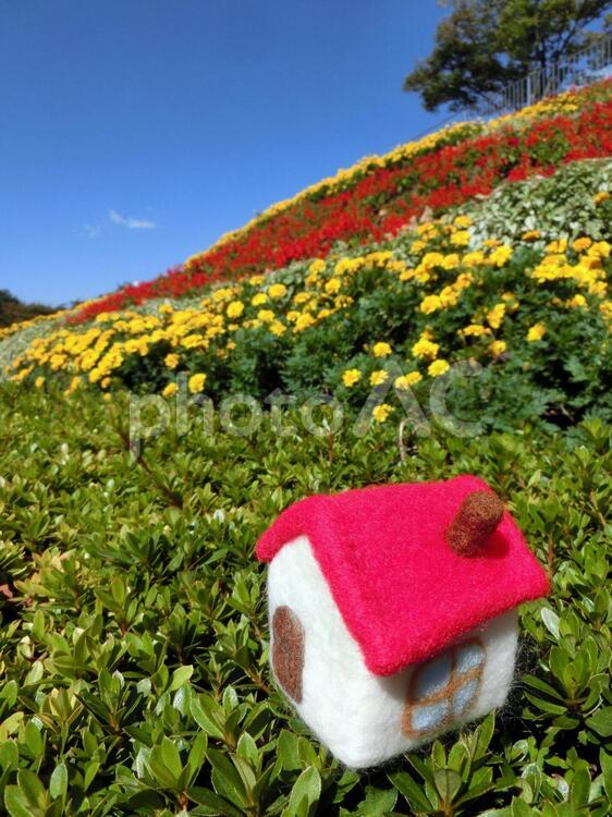 赤い屋根の家と花畑3 家,ハウス,ホームの写真素材