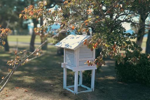 百葉箱 百葉箱,気象観測,温度計の写真素材