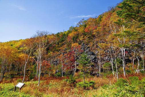 千畳くずれと紅葉 千畳くずれと紅葉 千畳くずれ,紅葉,然別の写真素材