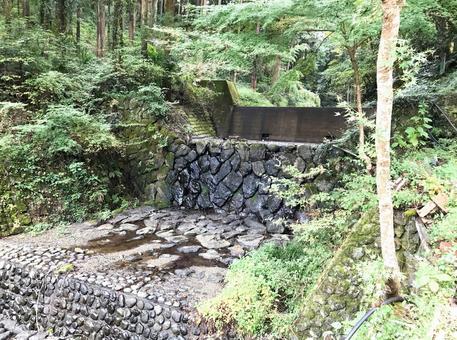 沢 沢,自然,ナチュラルの写真素材