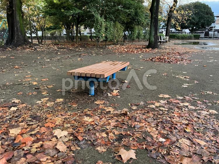 ベンチ　公園　雨上がり　落ち葉　自然 ベンチ,景色,風景の写真素材