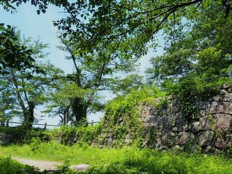 夏の景色3 夏の景色3 石垣,石積み,村上城跡の写真素材
