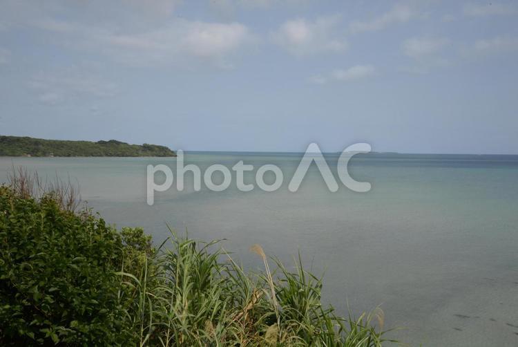 西表島　海岸 沖縄,アイランド,西表島の写真素材
