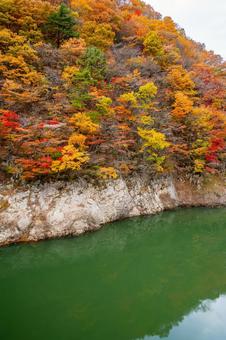 鳴子ダムの紅葉⒂の写真