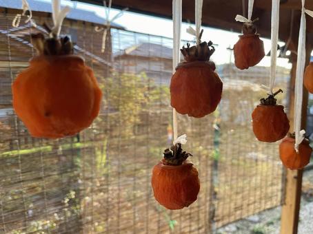 干し柿 干し柿,柿,柿色の写真素材