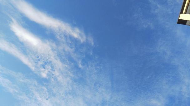 さら~ さら~の写真