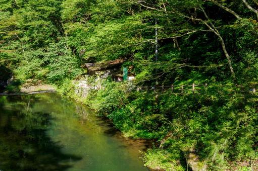 夏の渓流⑽ 夏の渓流⑽の写真