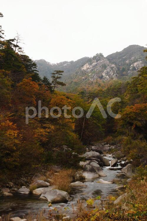 山梨県甲府市　昇仙峡の紅葉 昇仙峡,山梨,紅葉の写真素材
