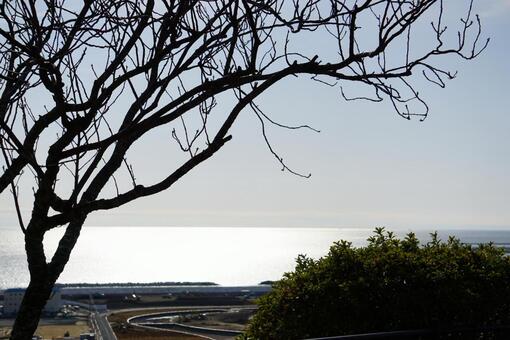 海 海の写真