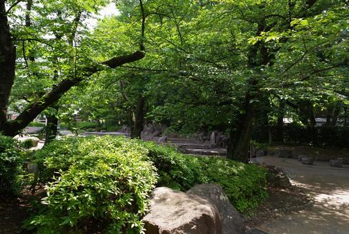 『公園』と『緑』 『公園』と『緑』の写真