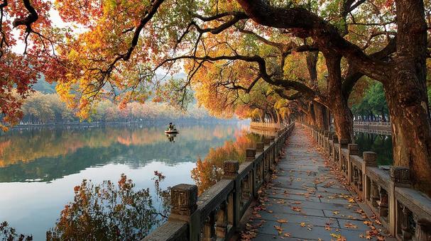 紅葉に染まる美しい湖畔 紅葉に染まる美しい湖畔の写真