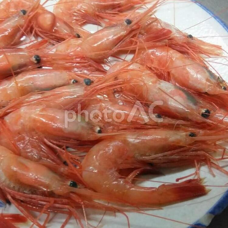 甘海老　甘エビ 魚介類,海老,エビの写真素材