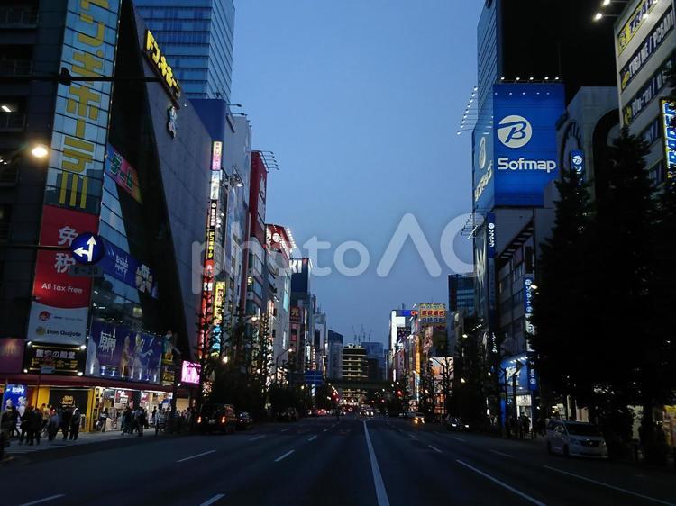 夕暮れの秋葉原の繁華街 東京,秋葉原,千代田区の写真素材