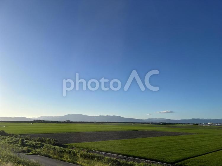 夕方の青空と山と田んぼ 山,自然,晴れの写真素材