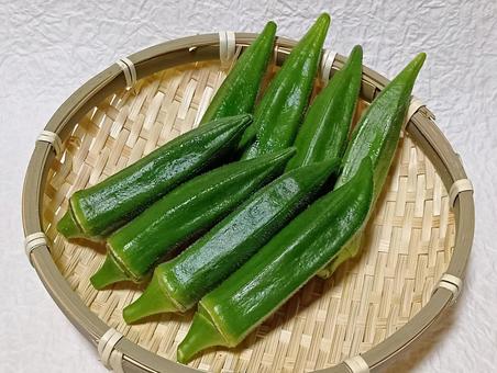 オクラ オクラ,野菜,食材の写真素材