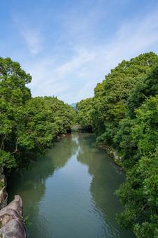 A river surrounded by fresh greenery, JPG