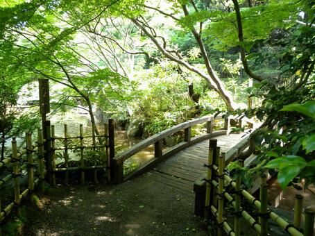 新緑の庭園 新緑の庭園の写真