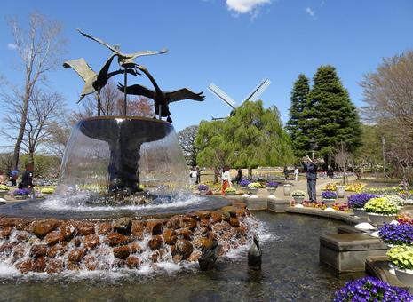 四月のアンデルセン公園-102 四月のアンデルセン公園-102 四月,ふなばしアンデルセン公園,千葉県船橋市の写真素材