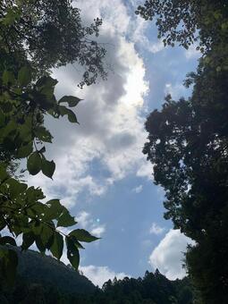 夏の空 夏の空の写真
