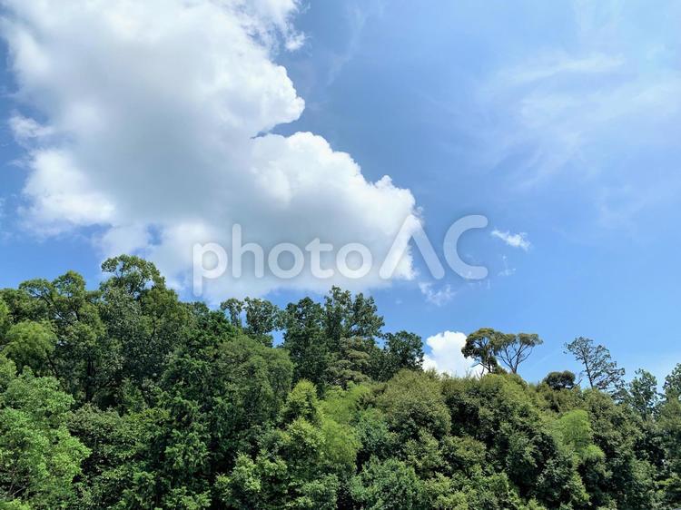 緑の木々と青い空 山,青空,雲の写真素材