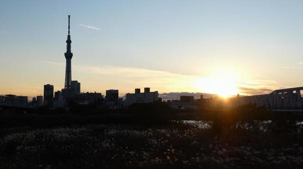 Yotsugi - Sunset and Skytree, JPG Yotsugi - Sunset and Skytree, JPG