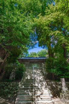 糸島雷神社の緑の景色 糸島雷神社の緑の景色の写真