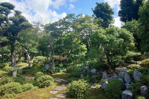 大阪府-金剛寺-本坊-枯山水庭園 大阪府-金剛寺-本坊-枯山水庭園の写真