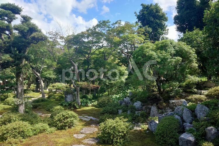 大阪府-金剛寺-本坊-枯山水庭園 金剛寺,寺,天野山の写真素材