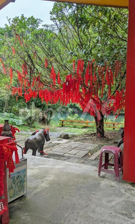 台湾　十分　新北市　十分瀑布公園 台湾,十分瀑布,観光地の写真素材